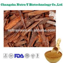 water soluble cinnamon extract