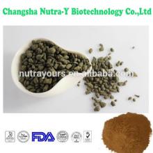 oolong tea extract powder
