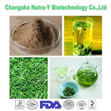 Anti-Oxidant organic green tea extract powder