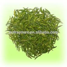 2014 Organic Chinese Green Tea Extract Powder