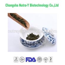 Oolong tea Extract /natural oolong tea extract/Organic oolong tea extract powder
