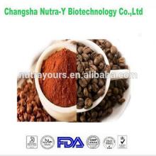 Best Price of Theobroma Cacao Extract to losing weight