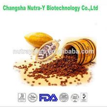 Pure natura cocoa beans extract price from factory