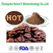 Best Price of raw cocoa beans extract as healthy food