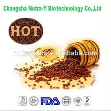 Pure natural manufactory cocoa beans extract to losing weight