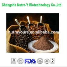 Very hot selling  best   cocoa   beans  extract from China supplier