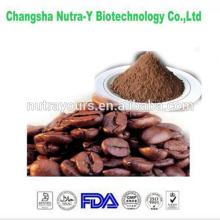 The first sales of the good cocoa beans extract manufacturer