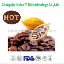 Excellent quality  buy   cocoa  beans extract in bulk supply