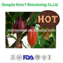 FDA certificated cocoa beans extract powder from factory