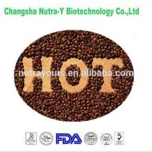Factory supplier best cocoa powder extract from China supplier