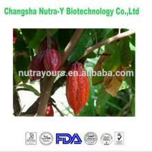 Plant extract cocoa powder in bulk supply
