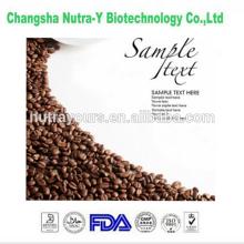 High Quality  Cocoa   Bean   Extract   Cocoa  Powder