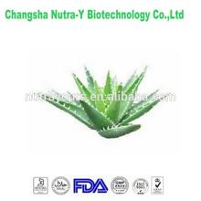 pure natural aloe vera extract