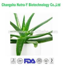 solvent extraction aloe vera extract