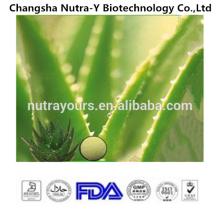 New Prodct On The Market Aloe Vera Leaf Extract