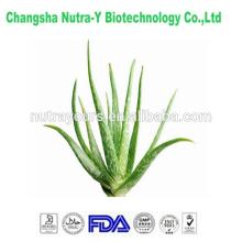 Factory supplier best Aloe Vera Extract of high quality