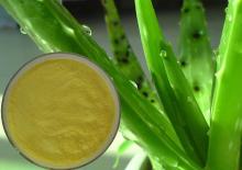 Aloin 20% Aloe Vera Extract,Aloe barbadensis Miller
