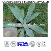 Top Quality Product  Aloe  Barbadensis Powder,  Aloe  Vera Leaf Extract