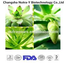 Hot Product Aloe Vera Extract With Competitive Price, Aloin Powder