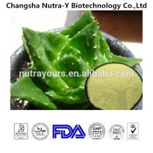 High Quality Plant Extract Product Aloe Vera P.E.