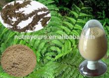 Natural Serrate Extract Huperzia Serrate P.E