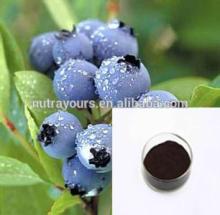Factory with GMP, Kosher Bilberry Extract