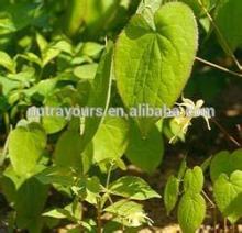 Pure Icariin 5%-98%, Icariins 5%-60% Epimedium Extract