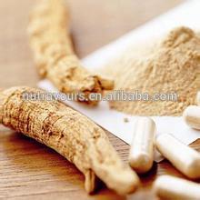GMP, KoSHER, HALAL Natural Ginsenosides From Ginseng Root Extract
