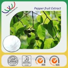China herb extract supplier 100% pure natural piperine black pepper extract
