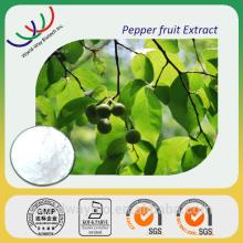 Free samples piperine powder pepper extract, bulk wholesale black pepper extract piperine 95%