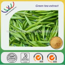 Green tea extract China supplier in bulk 80% Catechins 98% Polyphenols natural China green tea extra
