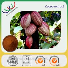 GMP factory making 100% pure cacao extract