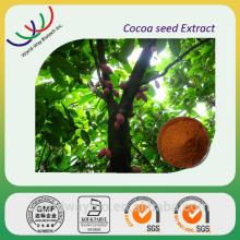 GMP factory supply 100% natrual theobroma cacao extract
