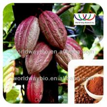 organic kosher cocoa plant extract 10% theobromine