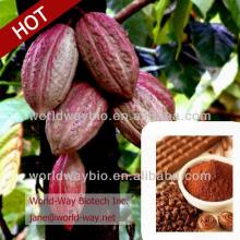 organic GMP cocoa plant extract 15% theobromine
