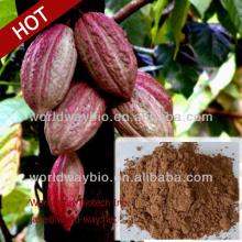 natural GMP cocoa plant extract 10% theobromine