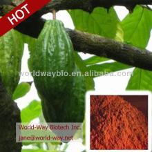 Theobromine cacao powder Extract