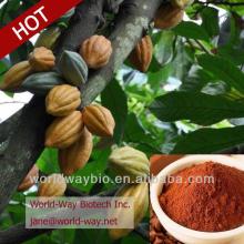 organic HACCP cocoa plant extract 10% theobromine