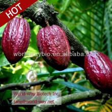  High   capacity  cocoa beans oil extraction