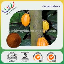 free sample GMP organic natural cocoa extract theobromine supplier