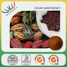 free sample HACCP KOF-K GMP manufacturer cocoa polyphenol theobromine plant extract coca seed