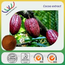 China fatory making top quality cacao extract /natural cocoa seeds extract cocoa polyphenol