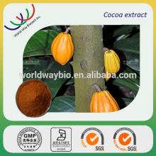 top quality cocoa plant extract 10% theobromine
