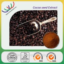 GMP factory supply pure cocoa polyhenols cocoa P.E