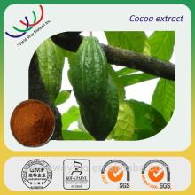 China Herbal extract Leading supplier cocoa seeds extract polyphenols/cacao seed extract 10% theobro
