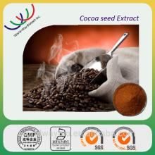 China Herbal extract Leading supplier cocoa seeds extract polyphenols/cacao extract 40% polyphenols