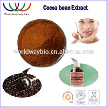 high quality HACCP cocoa plant extract 10% polyphenols