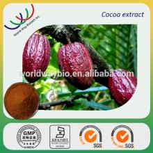 top quality kosher cocoa plant extract 20% polyphenols