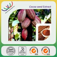 Cocoa extract theobromine China manufacturer supply pure natural cocoa theobromine