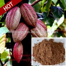 100% Hot Sale Cocoa Seed Extract